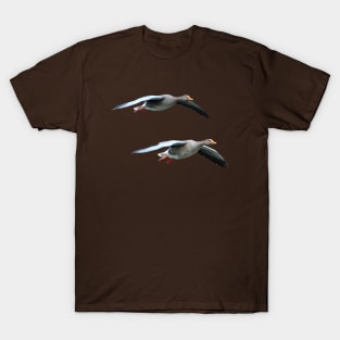 Pair of Greylag geese coming into land T-Shirt